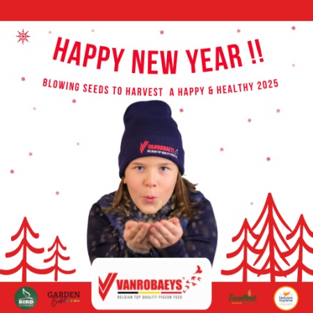 Happy New year 
